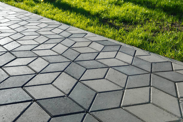 Best Local Driveway Pavers  in Mount Carmel, TN
