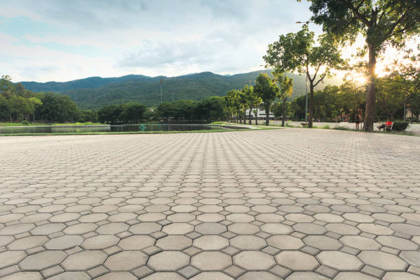 Paver Driveway Replacement in Mount Carmel, TN