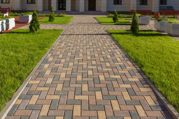 Best Professional Driveway Pavers  in Mount Carmel, TN